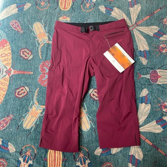 NWT Arc’teryx women’s Palisade hiking pants fuschia berry red 10 - Picture 1 of 5